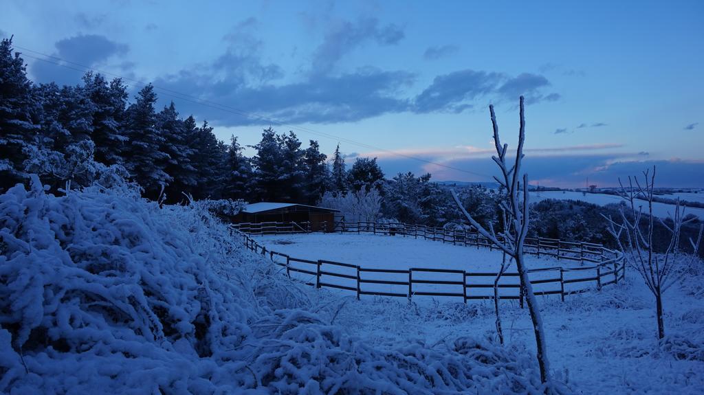 Tenuta Gran Bosco Loro Piceno ภายนอก รูปภาพ