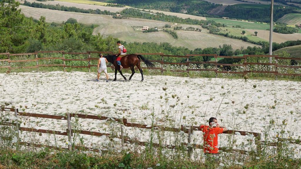 Tenuta Gran Bosco Loro Piceno ภายนอก รูปภาพ