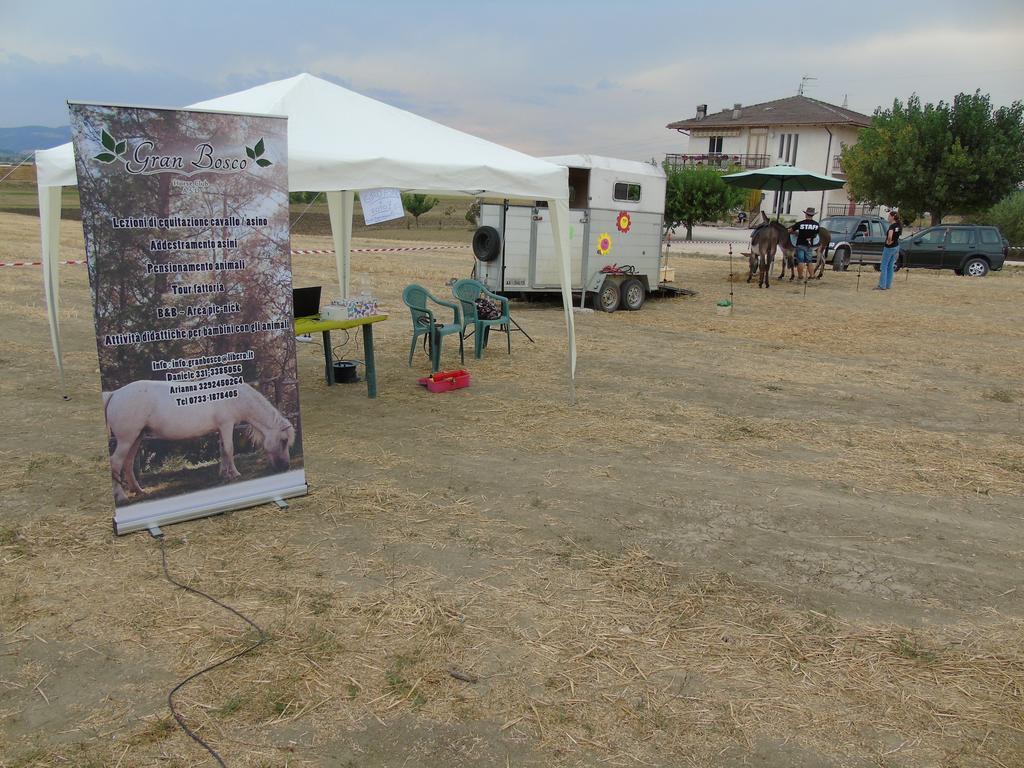 Tenuta Gran Bosco Loro Piceno ภายนอก รูปภาพ