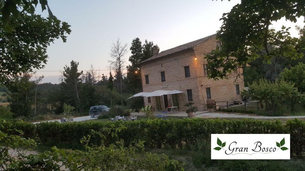 Tenuta Gran Bosco Loro Piceno ภายนอก รูปภาพ