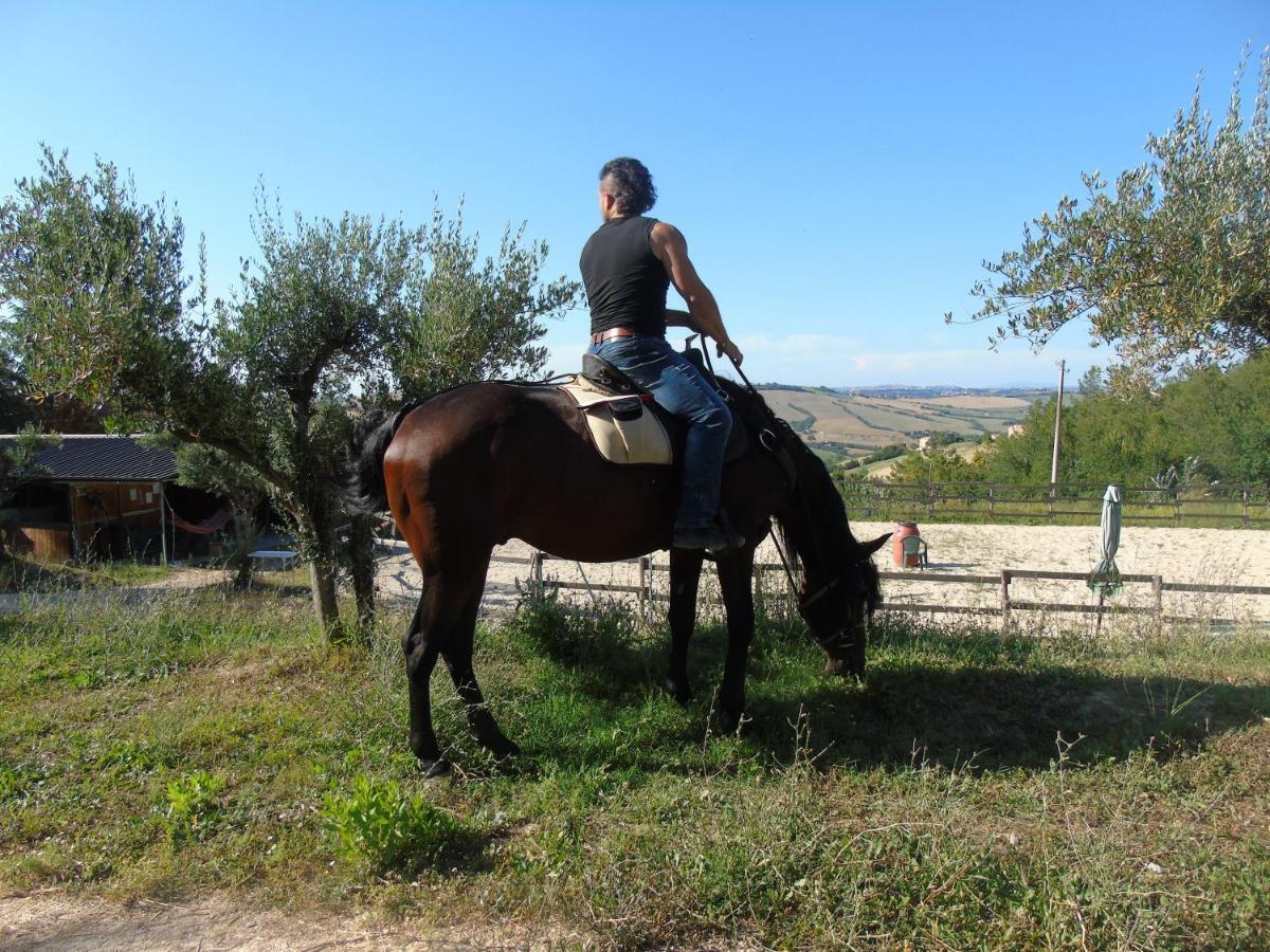 Tenuta Gran Bosco Loro Piceno ภายนอก รูปภาพ